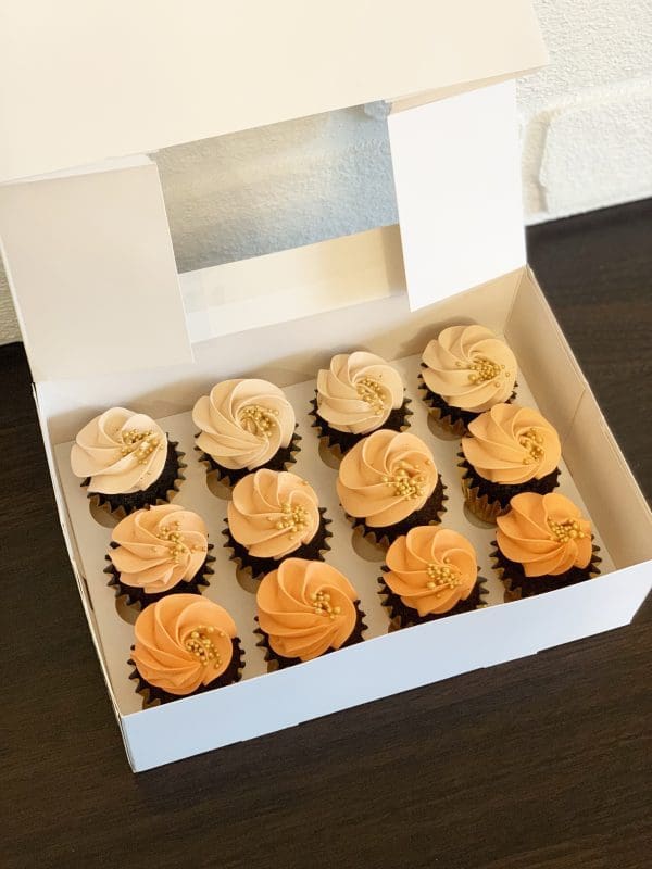 Ombre Cupcakes